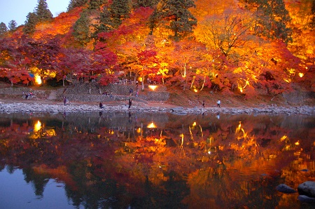 autumn night